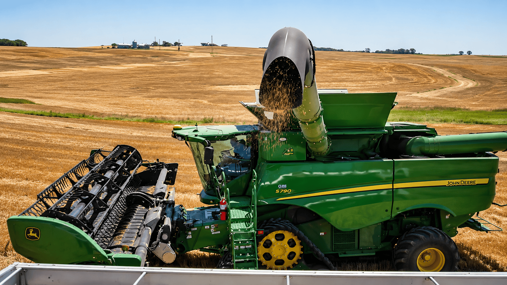 Not Picking Wheat—But Testing the Combine’s Efficiency ?#titok #foryou #us #wheat #DidYouKnow