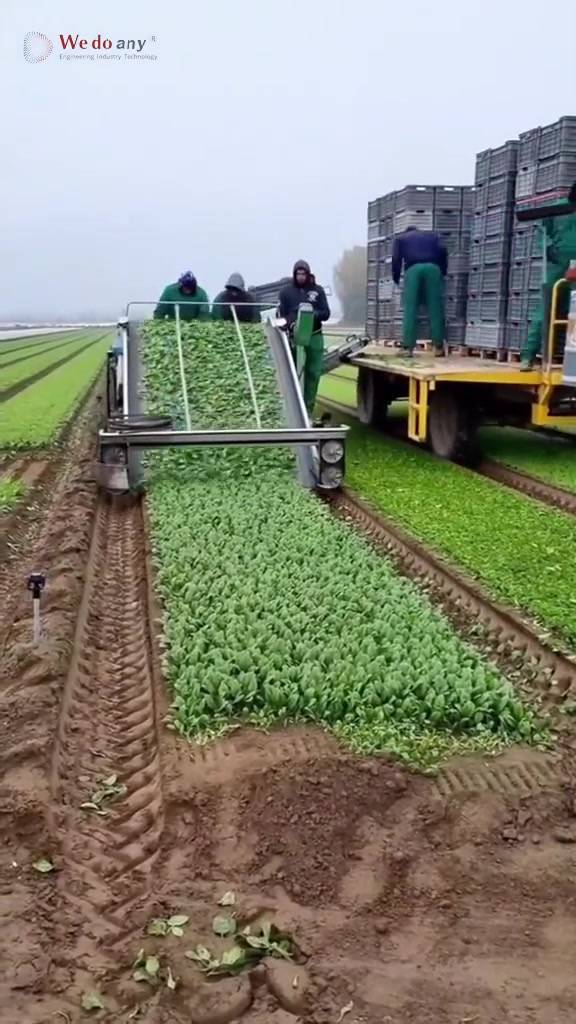 Relaxing footage of farm machines at work#AgriculturalMachinery#FarmEquipment#FarmingMachinery#Moder