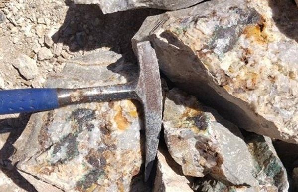 Serval Resources 初步地质填图计划结果
