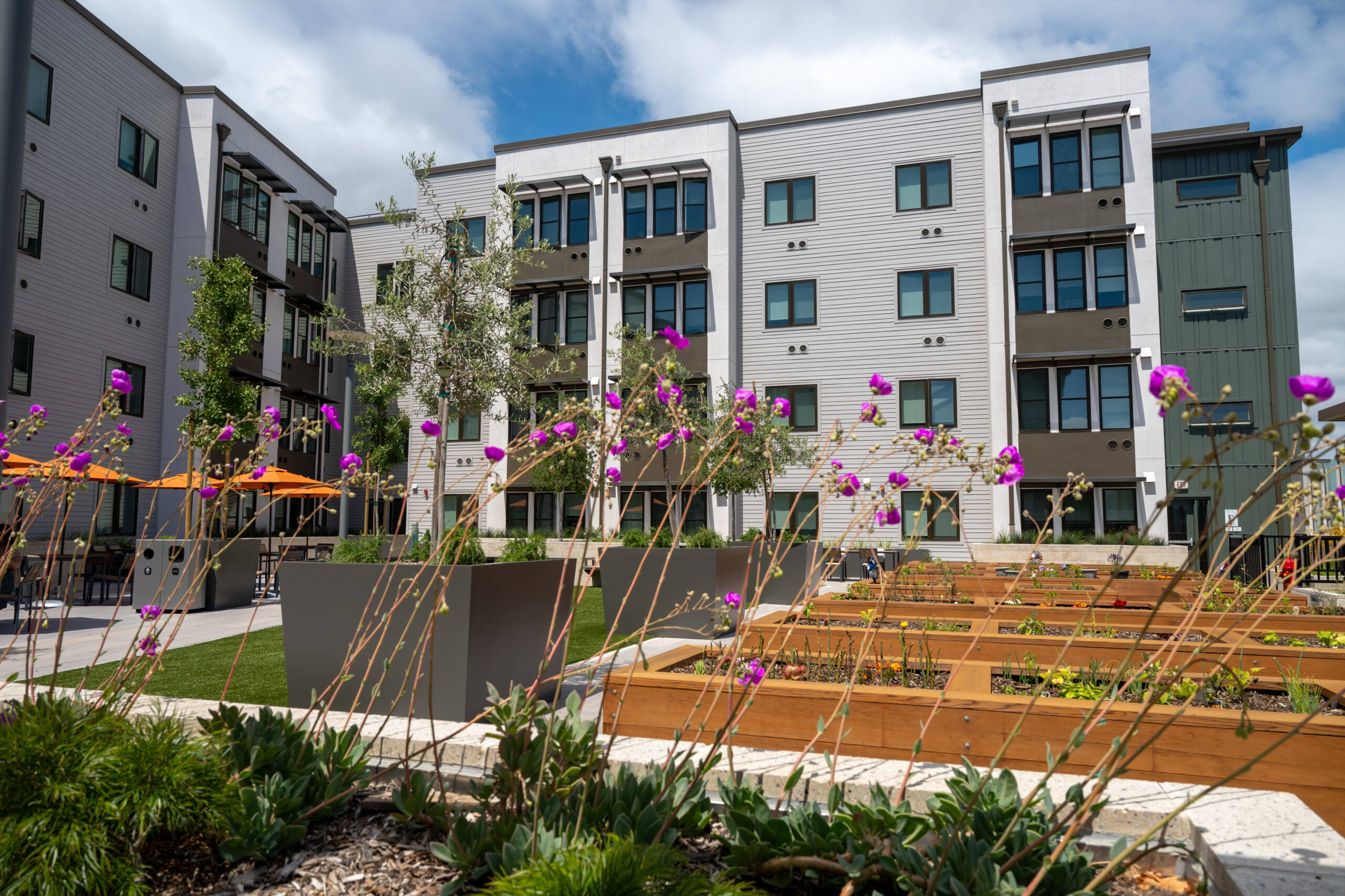 Pátio do Timber Senior Apartments, foto de Alain McLaughlin