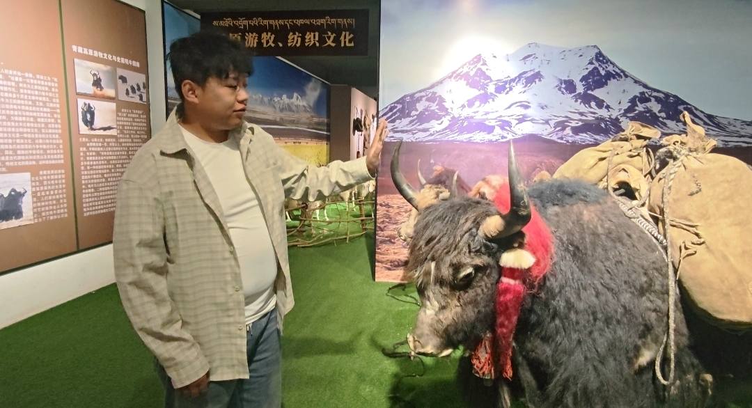 微信图片_20260604155433_372_5