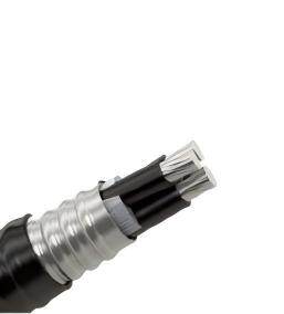 AC Cable