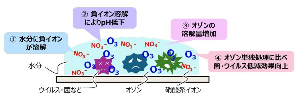 负离子与臭氧并用对病毒、细菌等的降低机理