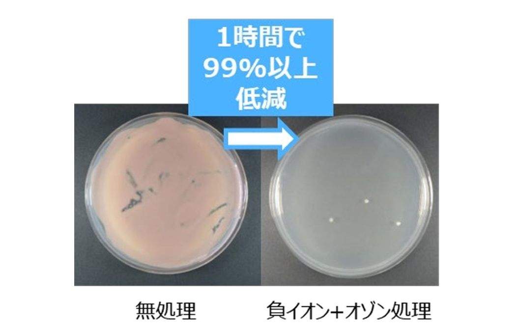 粉色黏泥酵母菌的降低效果