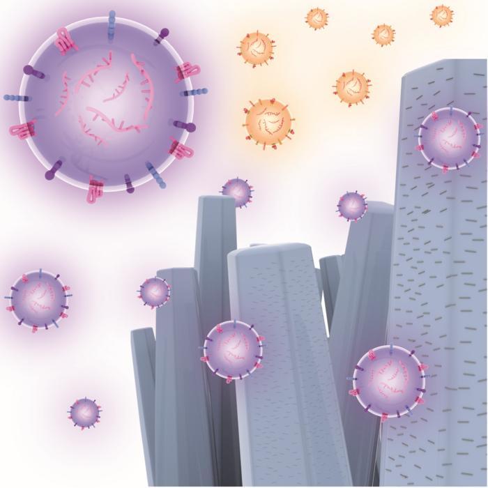 Nanofios de óxido de zinco