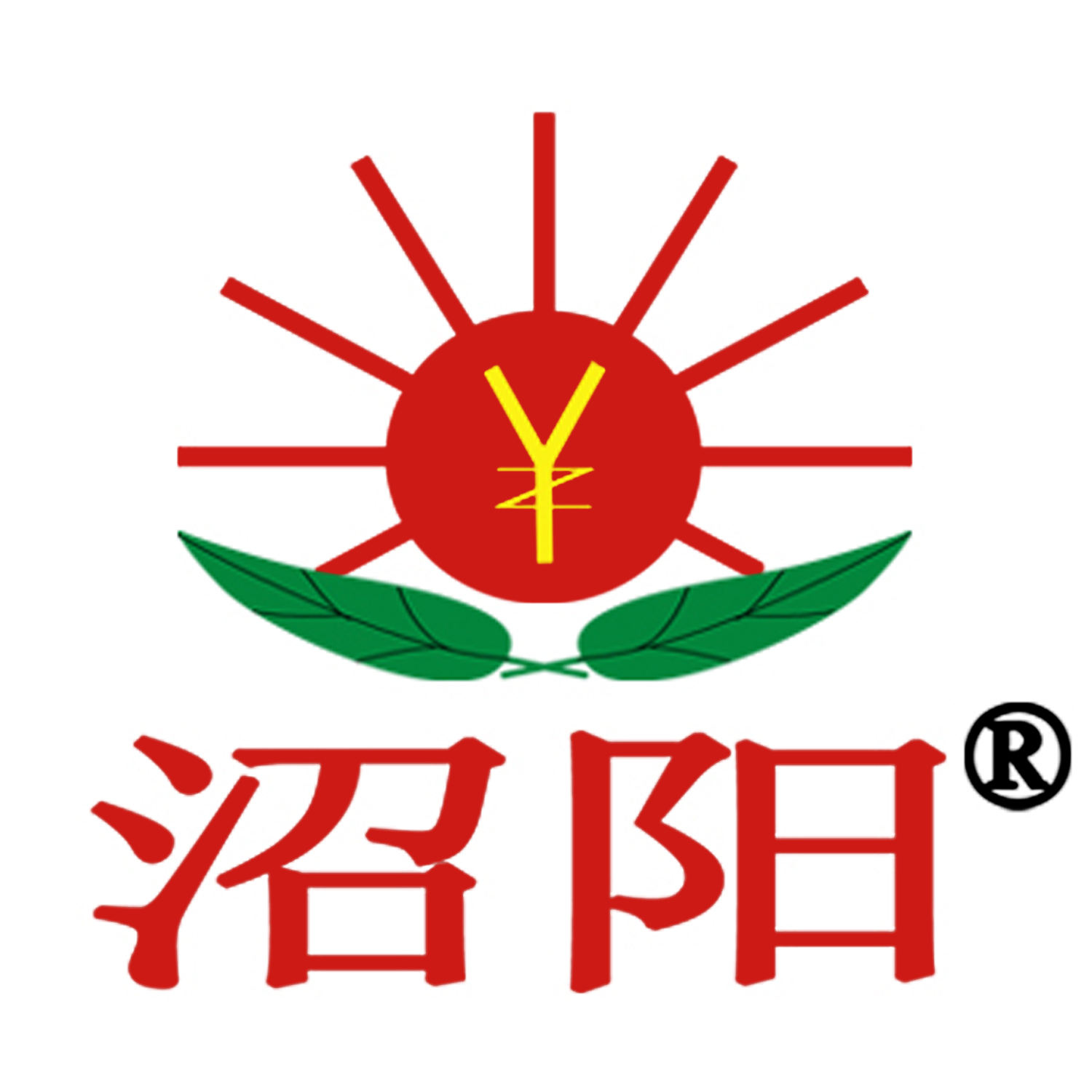 Zhaoyang Environmental Corporate Video