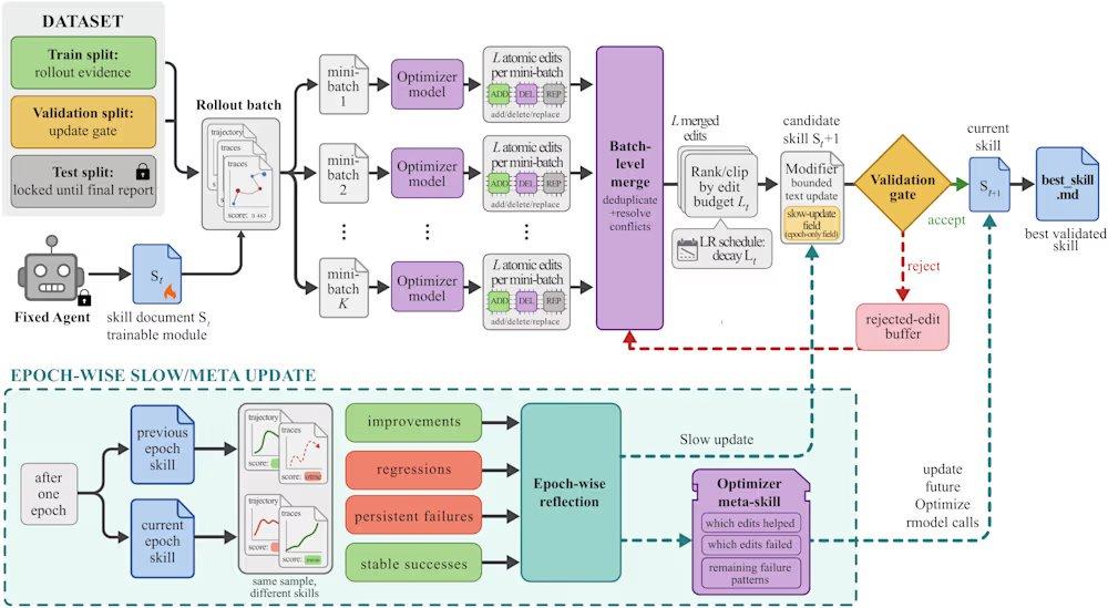 SkillOpt Process