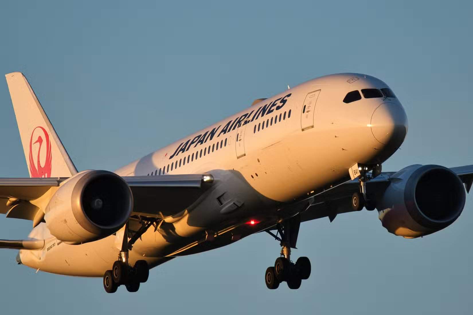 日本航空(Japan Airlines,JAL)波音787-8