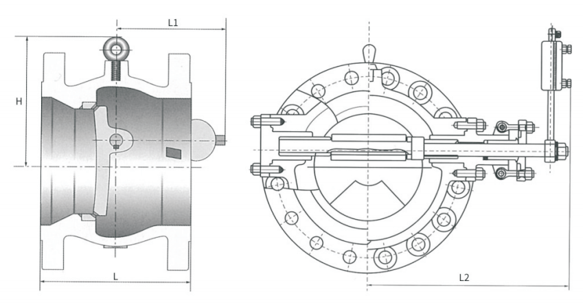 BUTTERFLY TYPE CHECK VALVE