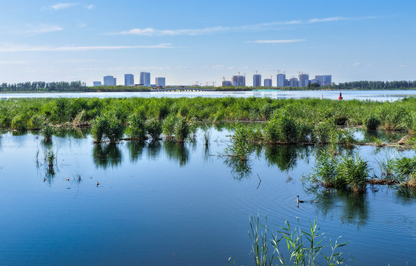 Экологическая картина слияния города и озера в новом районе Сюнъань. Фото Ли Да