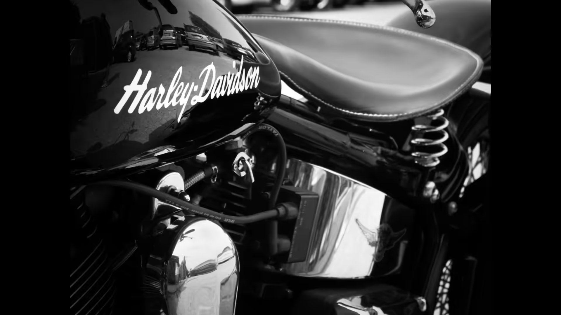 La HD X440 est le premier modèle développé conjointement par les deux entreprises, avec un prix de départ de 235 000 roupies indiennes (prix départ usine). Hero commercialise également sa propre version de ce modèle sous la marque Mavrick.