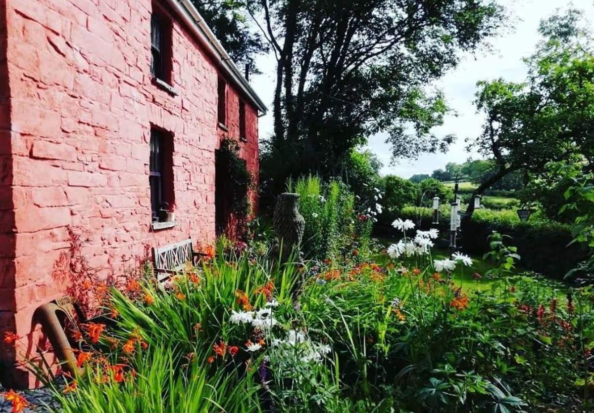 Die schöne, erdrote Vorderseite des Cottages und Blumen im Garten. Jane Beck Welsh Blankets in ihrem renovierten Zuhause in der Nähe von Tregaron, Ceredigion. Die Renovierung dauerte 29 Jahre, und sie hatte anfangs nur 23 Pfund in der Tasche.