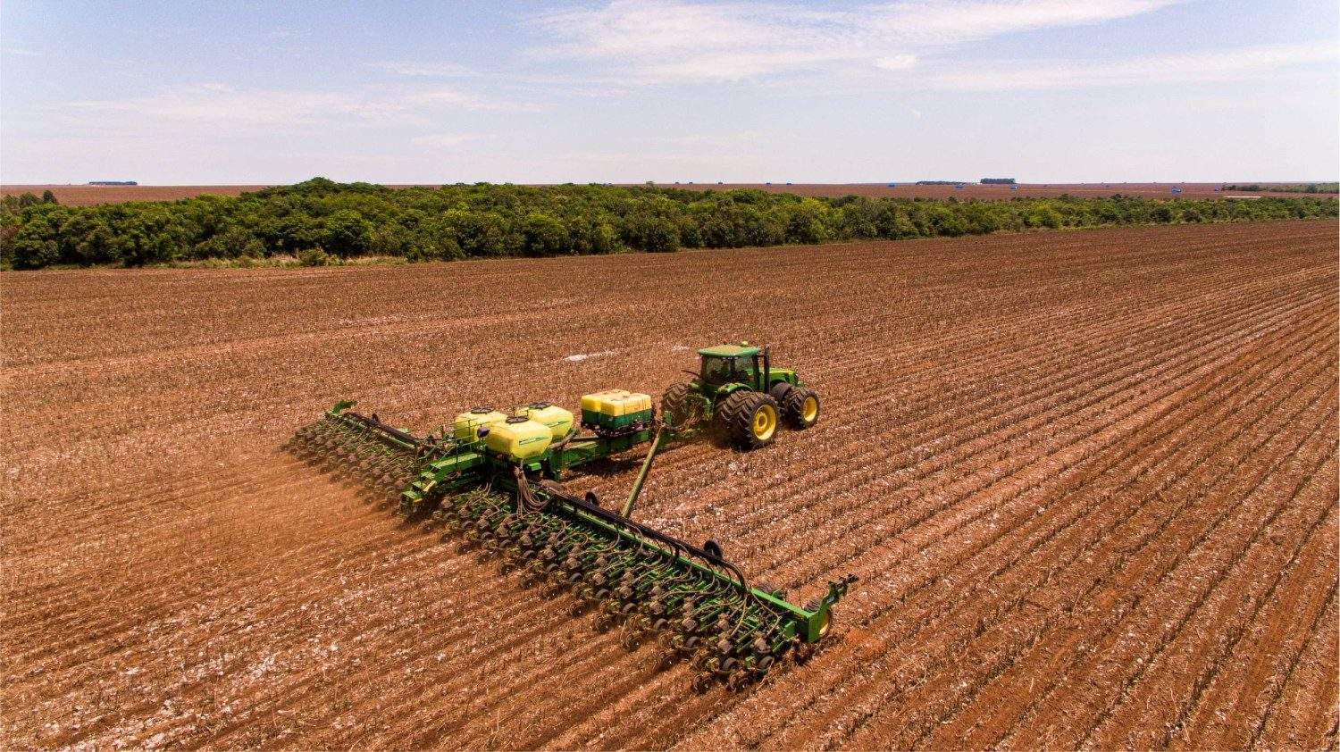 Plantación de soja de Bom Futuro