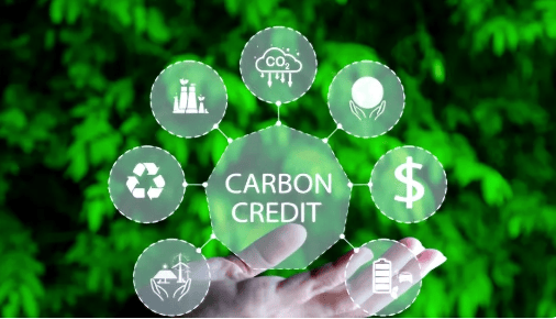 La Bolsa de Carbono de Vietnam se lanza oficialmente el 29 de junio