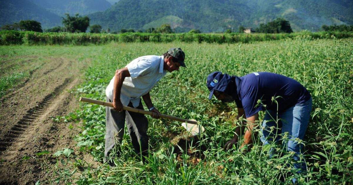 Fortschritte bei der Kreditvergabe an die Familienlandwirtschaft in Minas Gerais: Banco do Nordeste vergibt über 1 Milliarde Real an Darlehen
