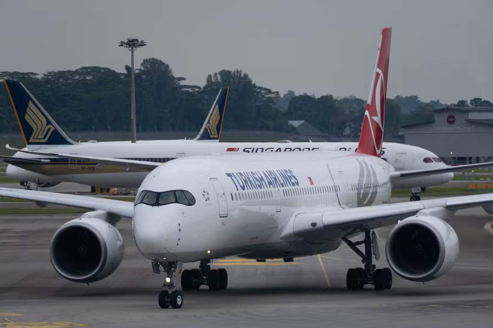 طائرة إيرباص A350-941 للخطوط الجوية التركية أثناء التوجه إلى مبنى الركاب بعد وصولها إلى سنغافورة