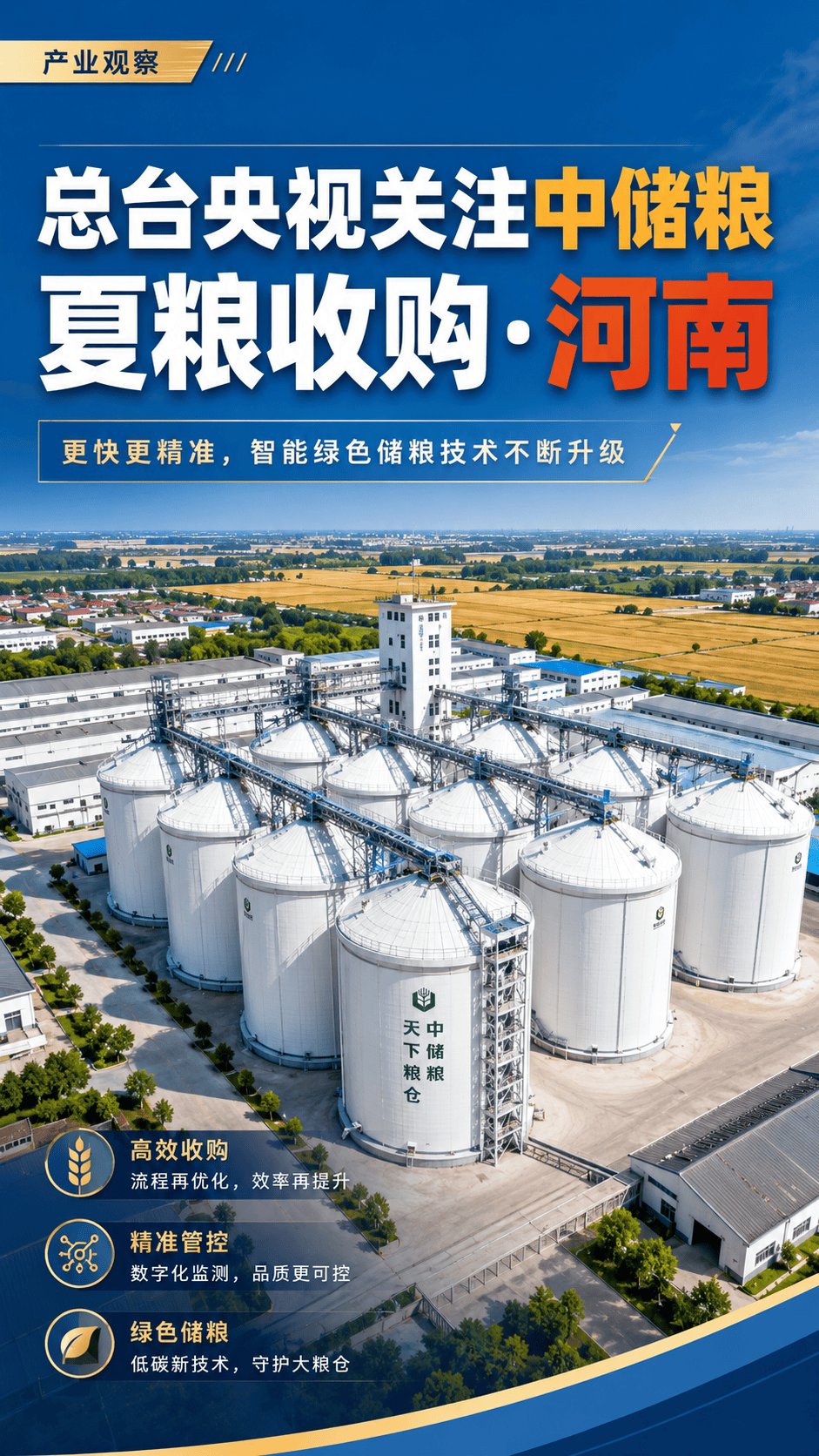 总台央视关注中储粮 |夏粮收购·河南：更快更精准，智能绿色储粮技术不断升级#中储粮 #夏粮收购 #央视报道