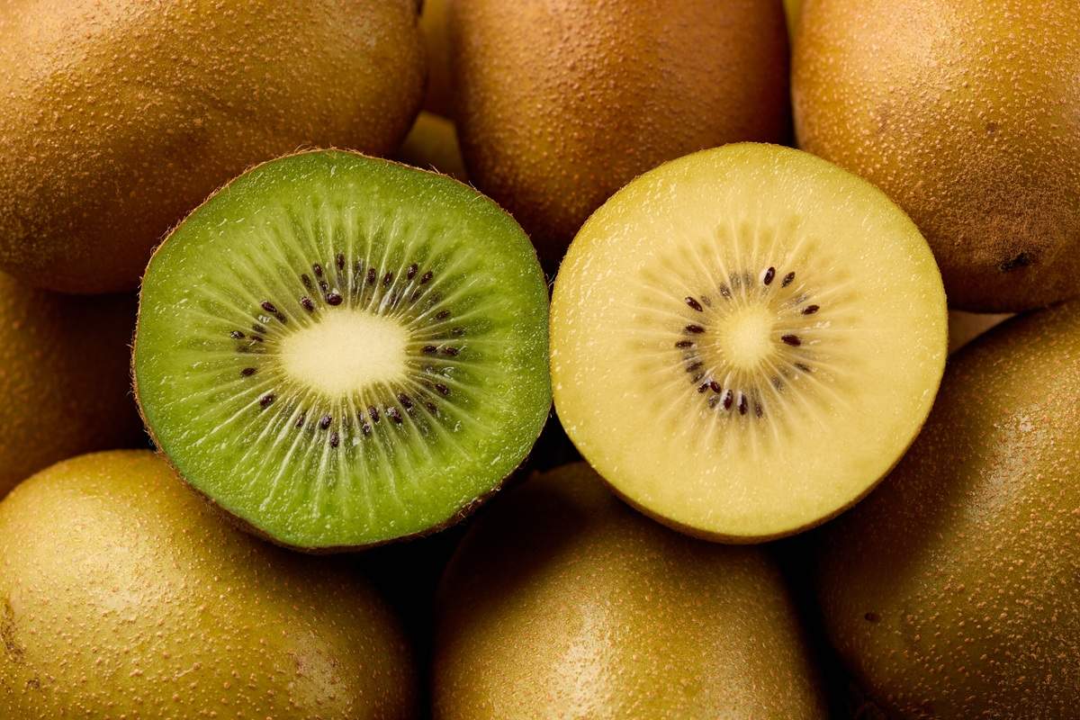 Après des années de négociations, le Vietnam ouvre son marché aux kiwis italiens
