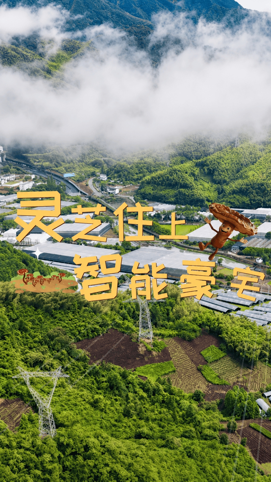 灵芝住上智能豪宅@国网浙江电力
