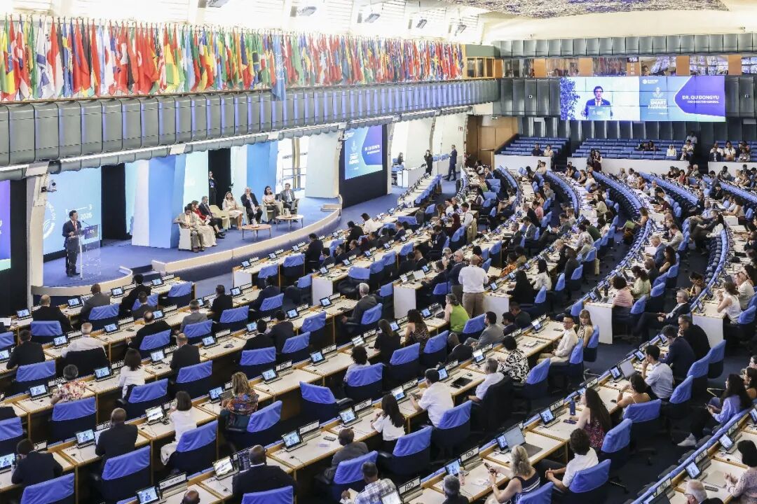 Tagungsort der ersten globalen Konferenz der FAO für intelligente Landwirtschaft. ©FAO