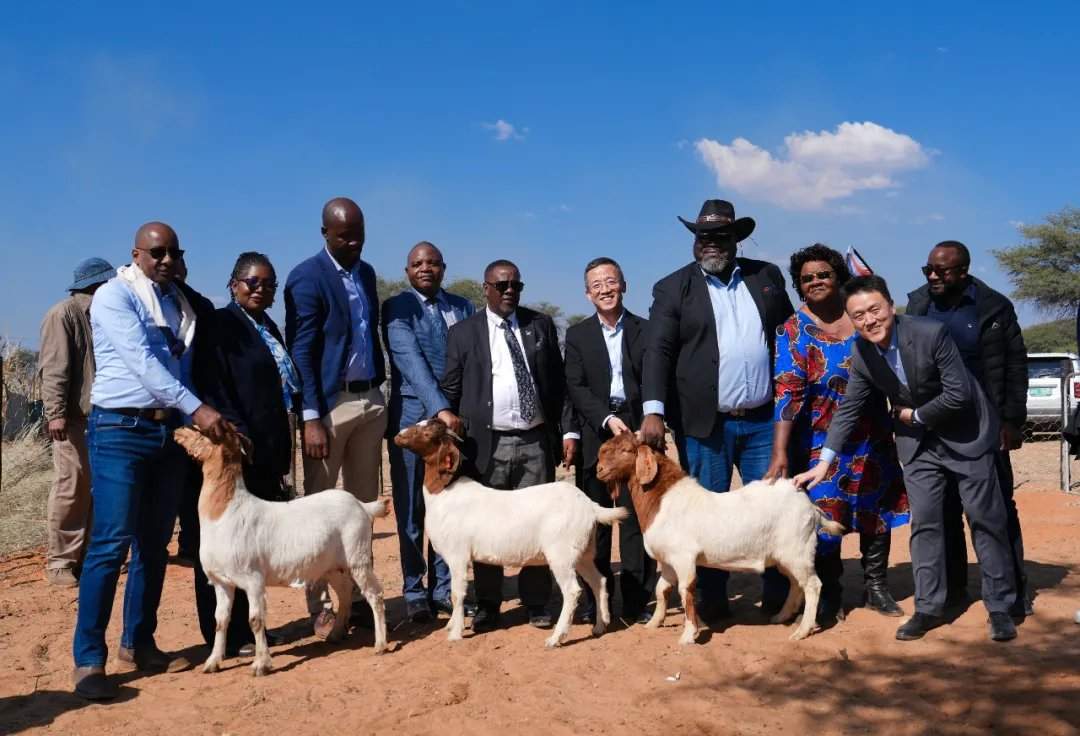 'Hope Farm' brings 'living assets' to Namibian farmers