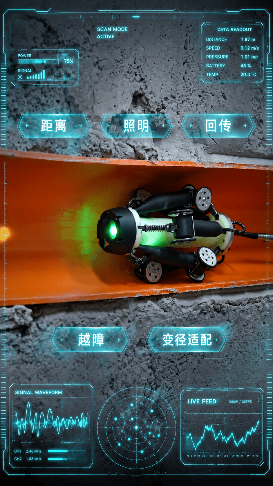 他们叫我钢甲章鱼！