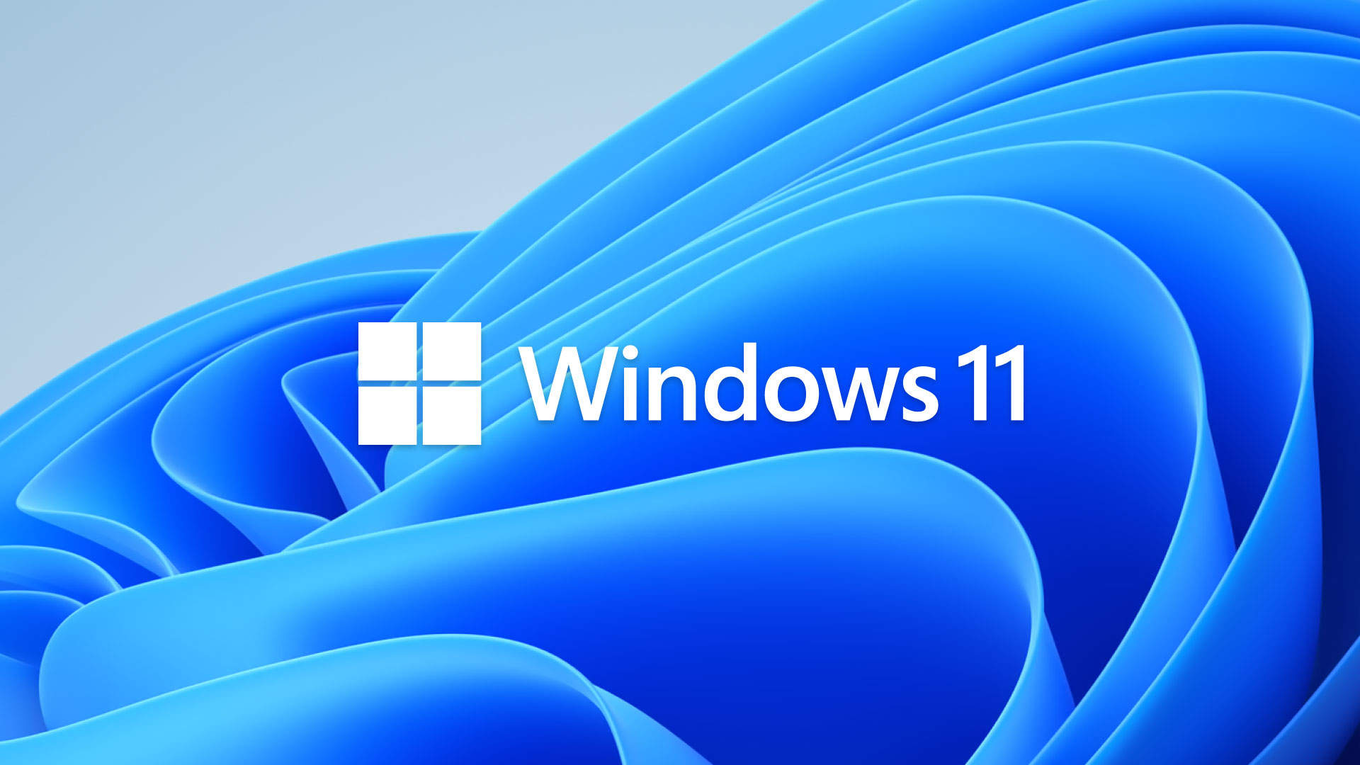 Логотип Windows 11 на синем размытом фоне