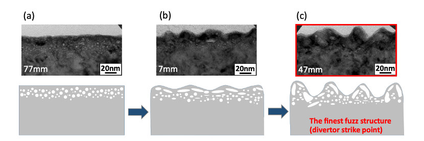 Three typical initial growth stages of tungsten fuzz (W-fuzz) formation