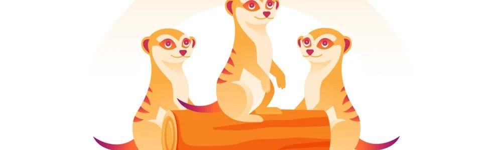 suricates