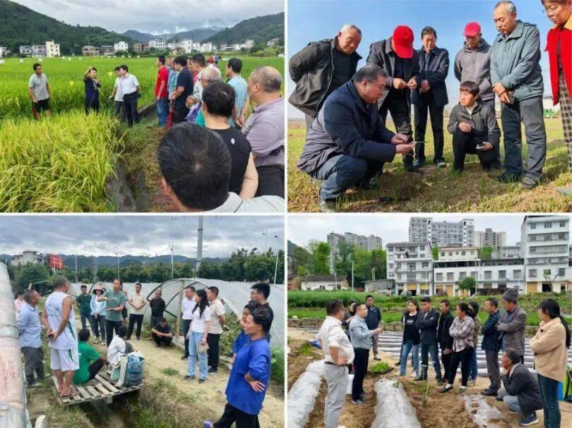 CAAS 'Industrial Expert Team' recognized as a national 'Excellent Model for Volunteer Service Projects'