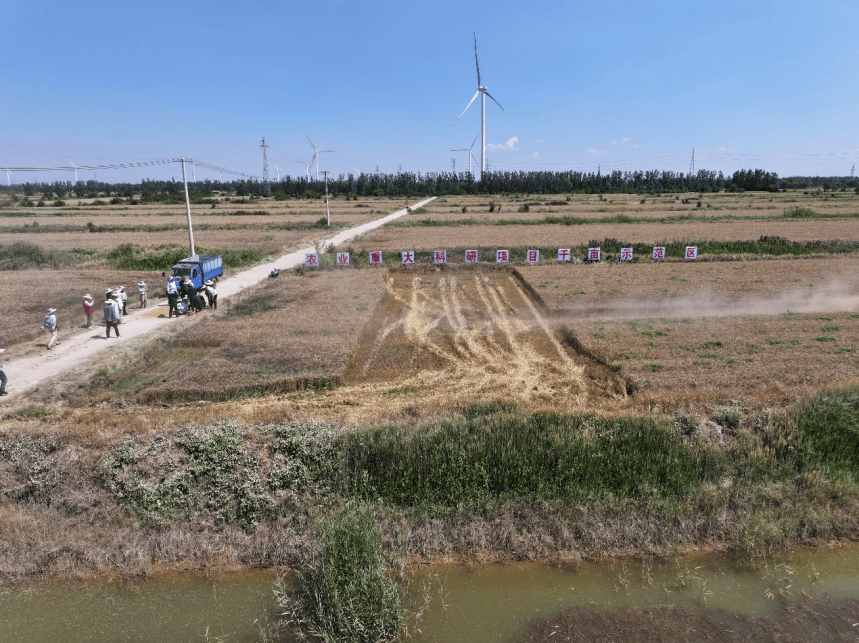 Demonstration area for treating patchy saline-alkali land in North China