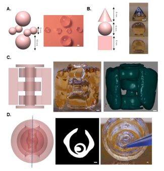Forscher aus Nottingham und Berkeley unterdrücken Überhärtungsfehler beim Volumen-3D-Druck