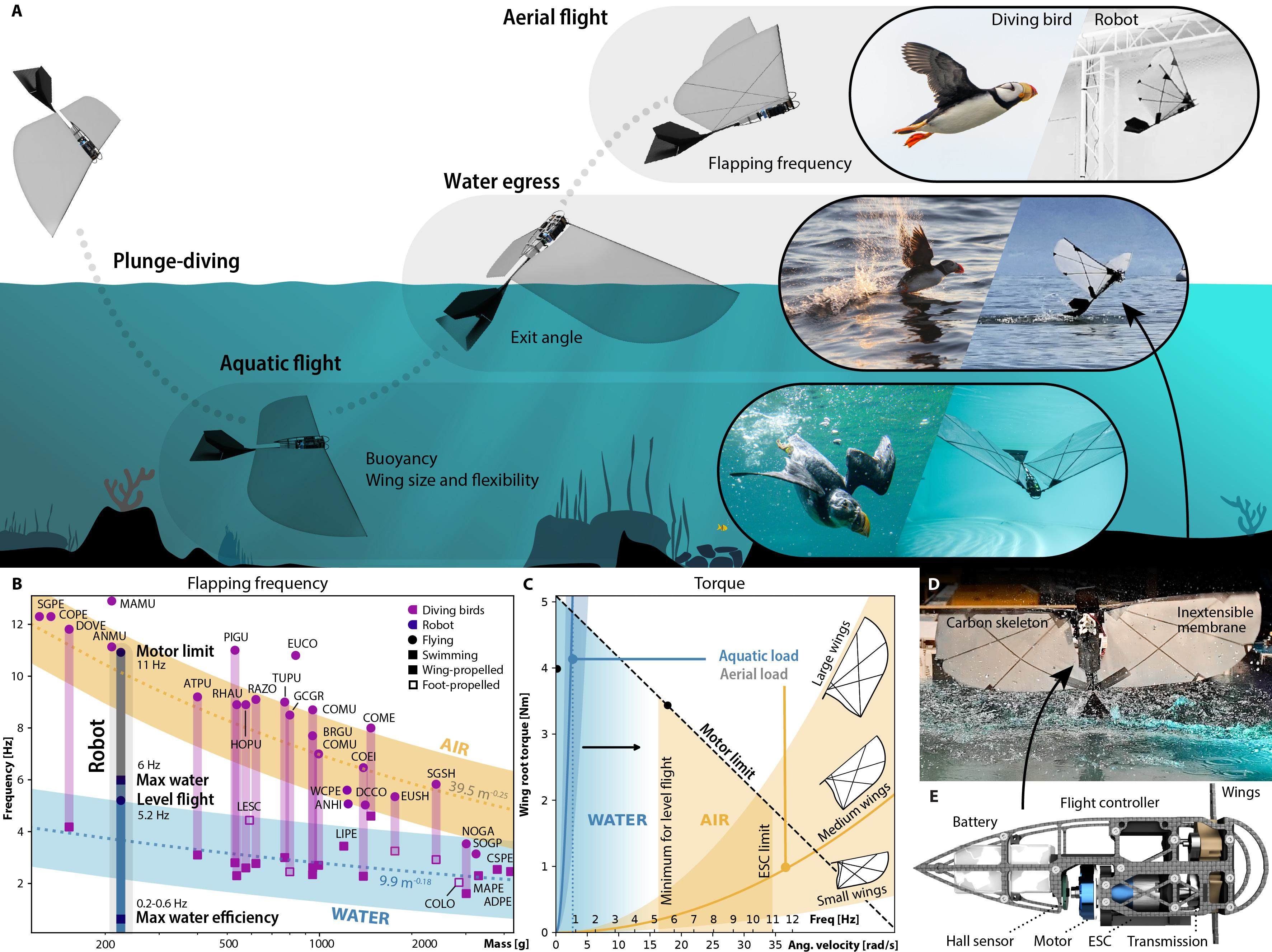 Schematische Darstellung des von der EPFL und dem MIT entwickelten Roboters: Sie zeigt den Übergangsprozess vom Schwimmen unter Wasser zum Fliegen über der Wasseroberfläche, der tauchende Vögel nachahmt. Fotos und Diagramme veranschaulichen die Bewegungsabläufe, die technische Struktur sowie die experimentellen Messergebnisse.