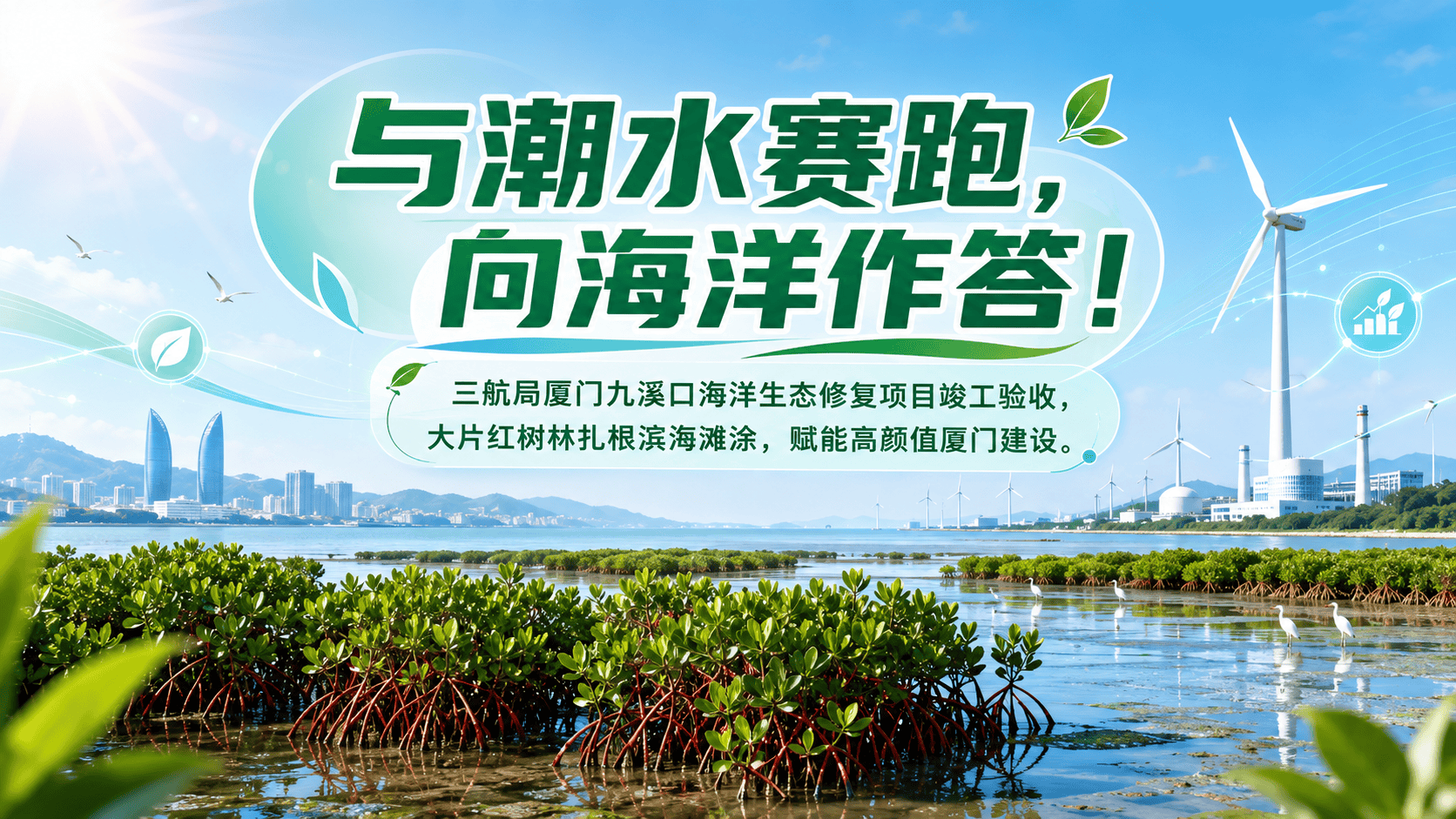 与潮水赛跑，向海洋作答！三航局厦门九溪口海洋生态修复项目竣工验收，大片红树林扎根滨海滩涂，赋能高颜值厦门建设。（来源：三航局）