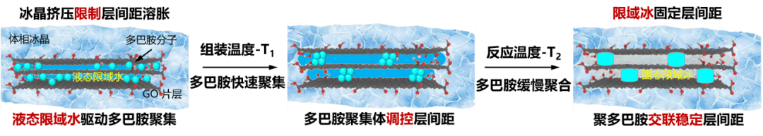 Aufbau von Graphenoxid-Zweischicht-Polymer-Verbundmembranmaterialien mittels der Methode der begrenzten Eisbildung. Bildquelle: Technisches Institut für Physik und Chemie der Chinesischen Akademie der Wissenschaften