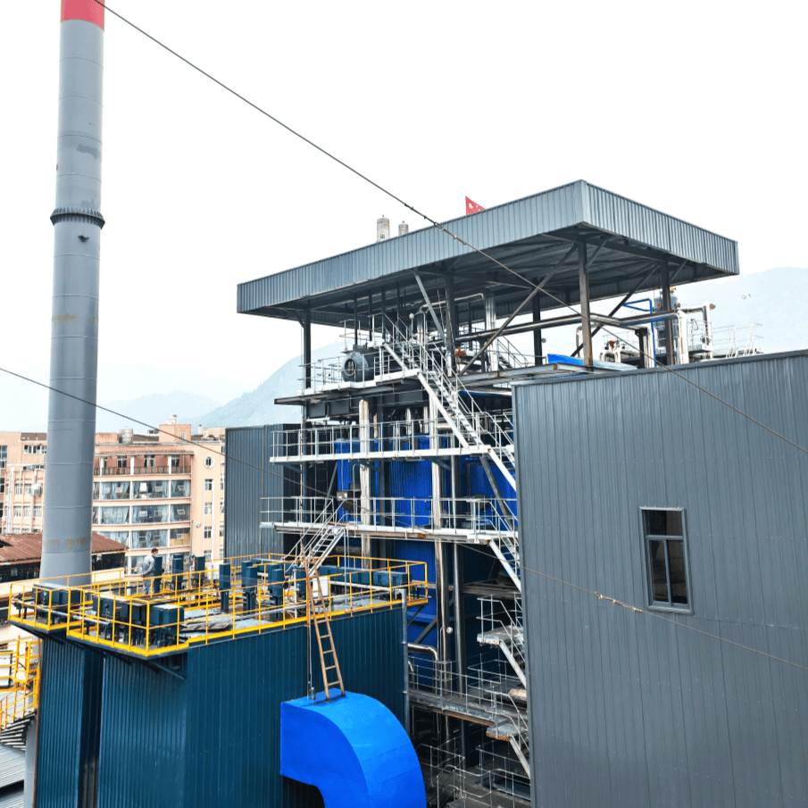 Zhejiang Donghong Park Industrial Waste-to-Energy Project