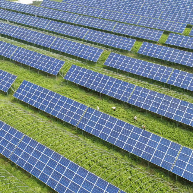 Sistema Fotovoltaico Agrovoltaico｜Solução One-Stop de Nova Energia Combinando Agricultura e Energia Solar
