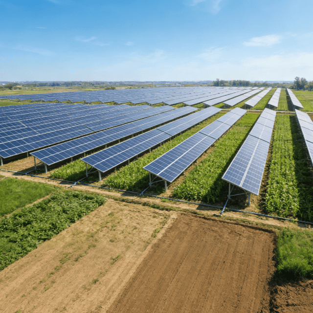 Sistema Fotovoltaico Agrovoltaico｜Solução One-Stop de Nova Energia Combinando Agricultura e Energia Solar
