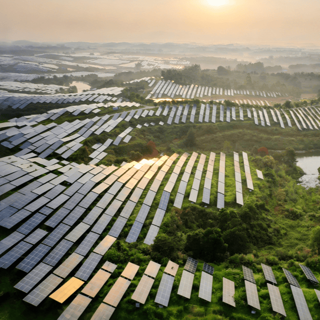 Sistema Fotovoltaico Florestal Complementar｜Fabricante de Sistemas de Instalação Fotovoltaica em Áreas Florestais