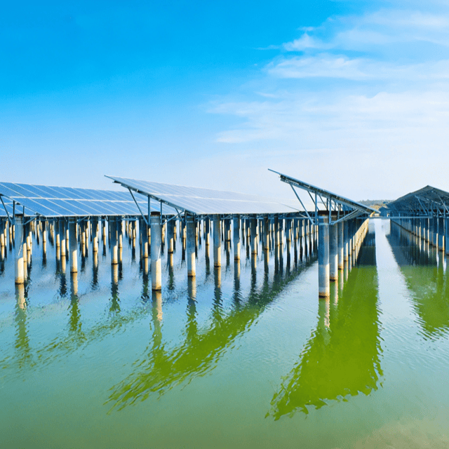 Sistema Fotovoltaico Complementar para Aquicultura｜Fornecedor de Soluções de Geração Solar sobre Água