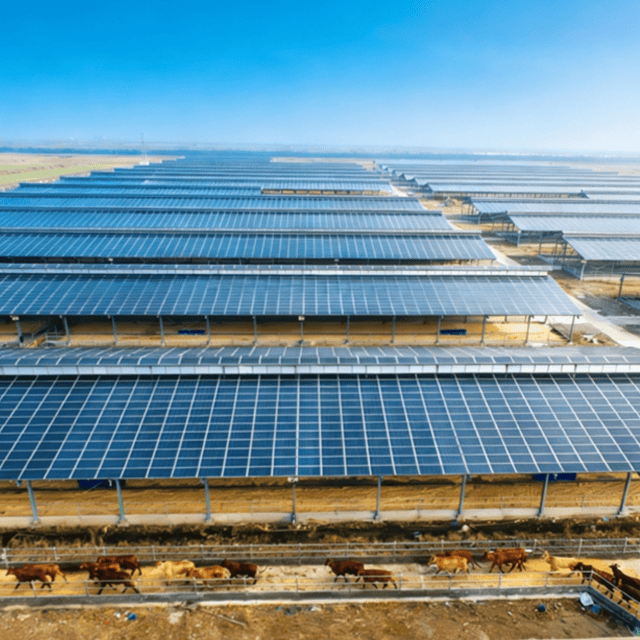 Sistema solar agroganadero | Proveedor de soluciones fotovoltaicas para aplicaciones ganaderas