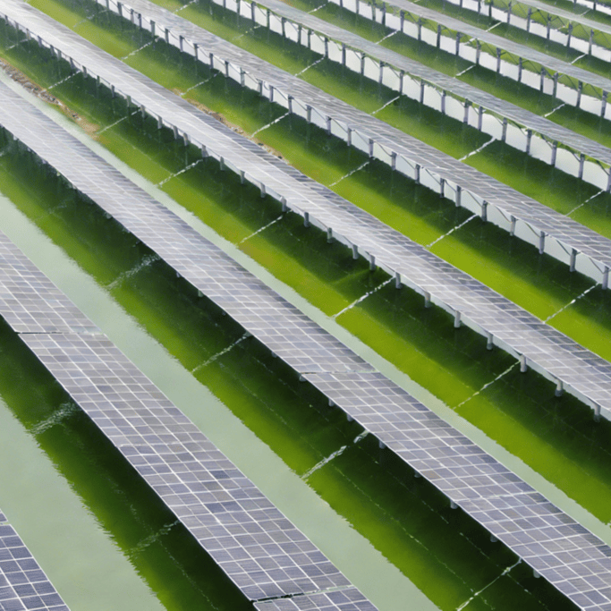 Solución integral solar fotovoltaica | Proveedor de servicios de diseño y fabricación de sistemas fotovoltaicos