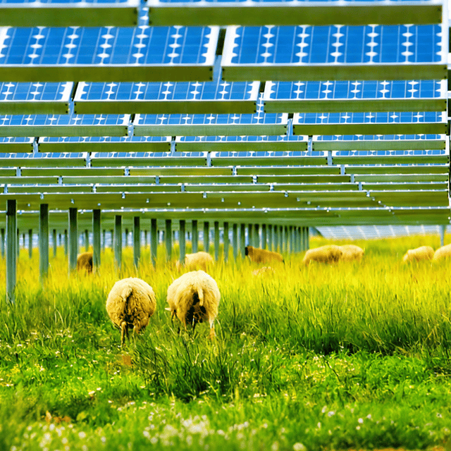 Solución integral solar fotovoltaica | Proveedor de servicios de diseño y fabricación de sistemas fotovoltaicos