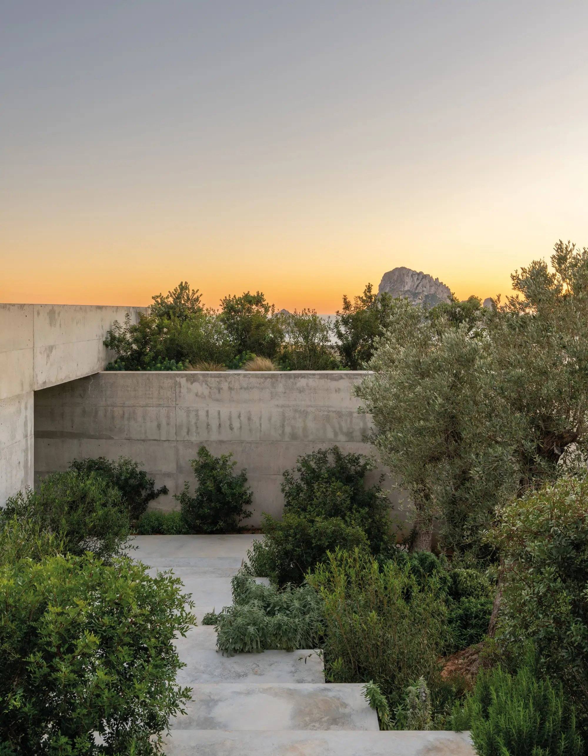Garten mit Betonmauer und Treppe