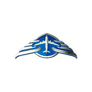 启东市飞侠航空科技有限公司