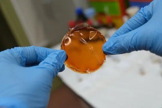 Ils ont conçu une nouvelle membrane qui améliore l'efficacité de purification de l'hydrogène de près de dix fois