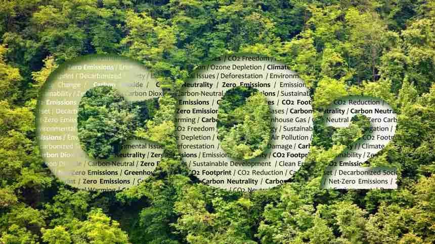 Estudo afirma: agro pode gerar até R$ 3,5 bilhões em uma década com créditos de carbono 'exportáveis'