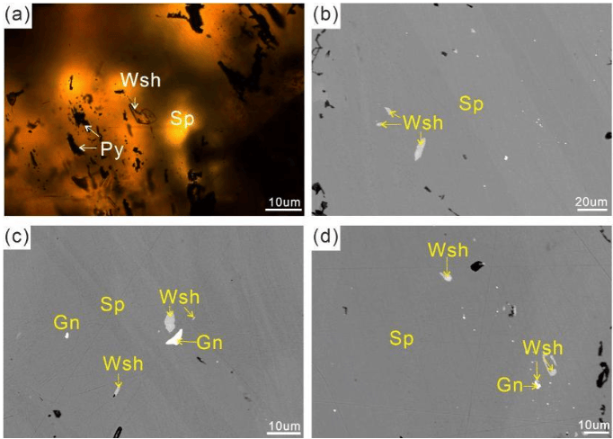 Images de la germanite de Wusihé en microscopie optique (a) et en microscopie électronique à balayage en électrons rétrodiffusés (b-d). Fournies par l'unité interrogée