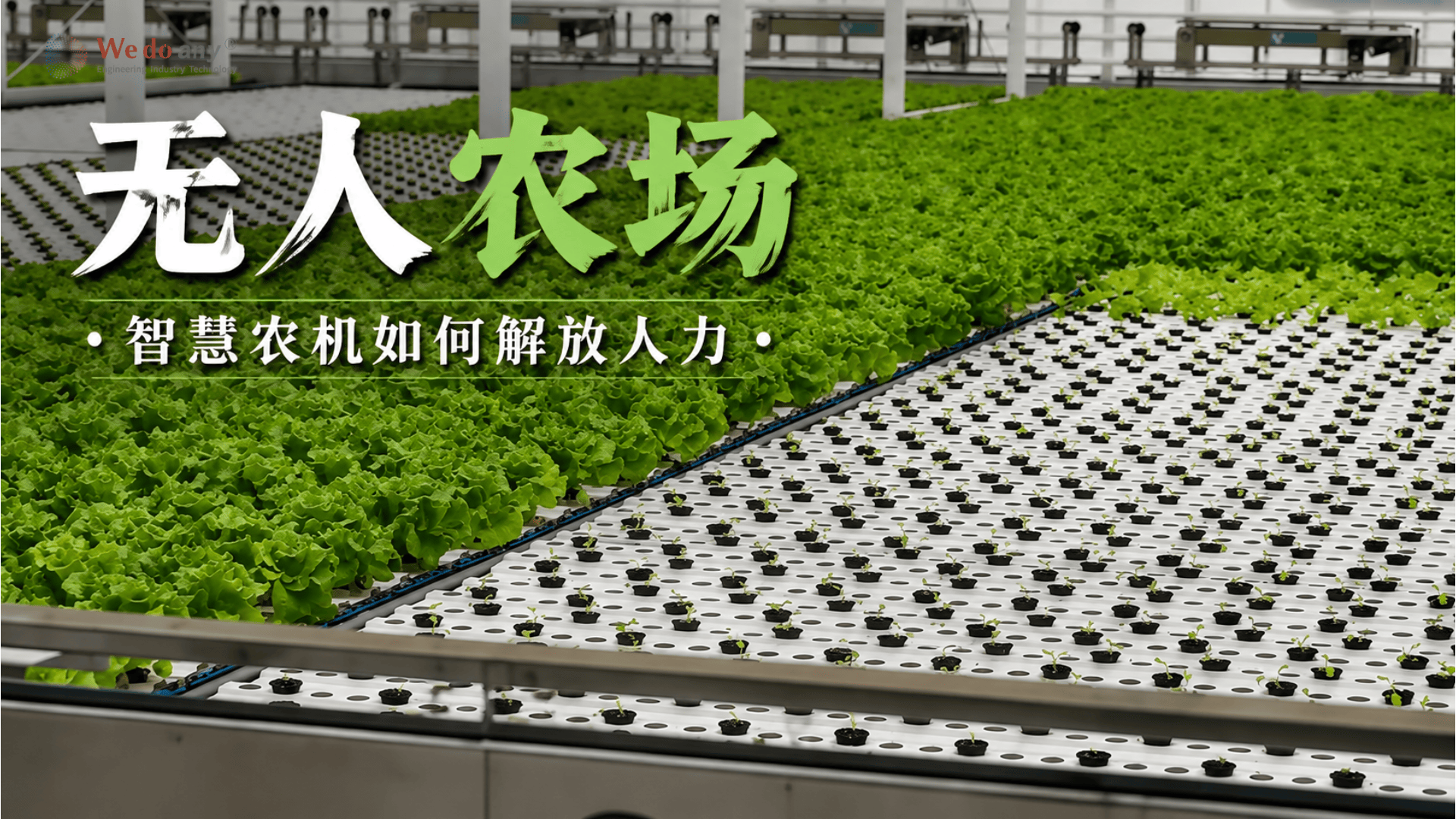 从“示范”到“标准”—华东中心农业场景化创新重新定义产业未来 #农业 #设施农业 #北斗 #传感器