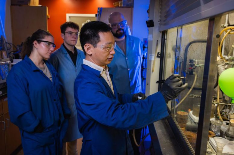 Guoliang Liu, Connor Thompson, Abby Civrello et Adrian DiMarco analysent l'expérience